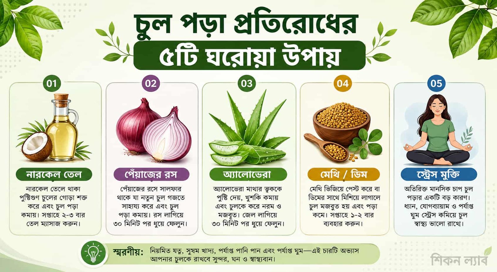 চুল পড়া প্রতিরোধের ৫টি ঘরোয়া উপায় – নারকেল তেল, পেঁয়াজের রস, অ্যালোভেরা, মেথি ও মানসিক চাপ নিয়ন্ত্রণের ছবিসহ ইনফোগ্রাফিক।