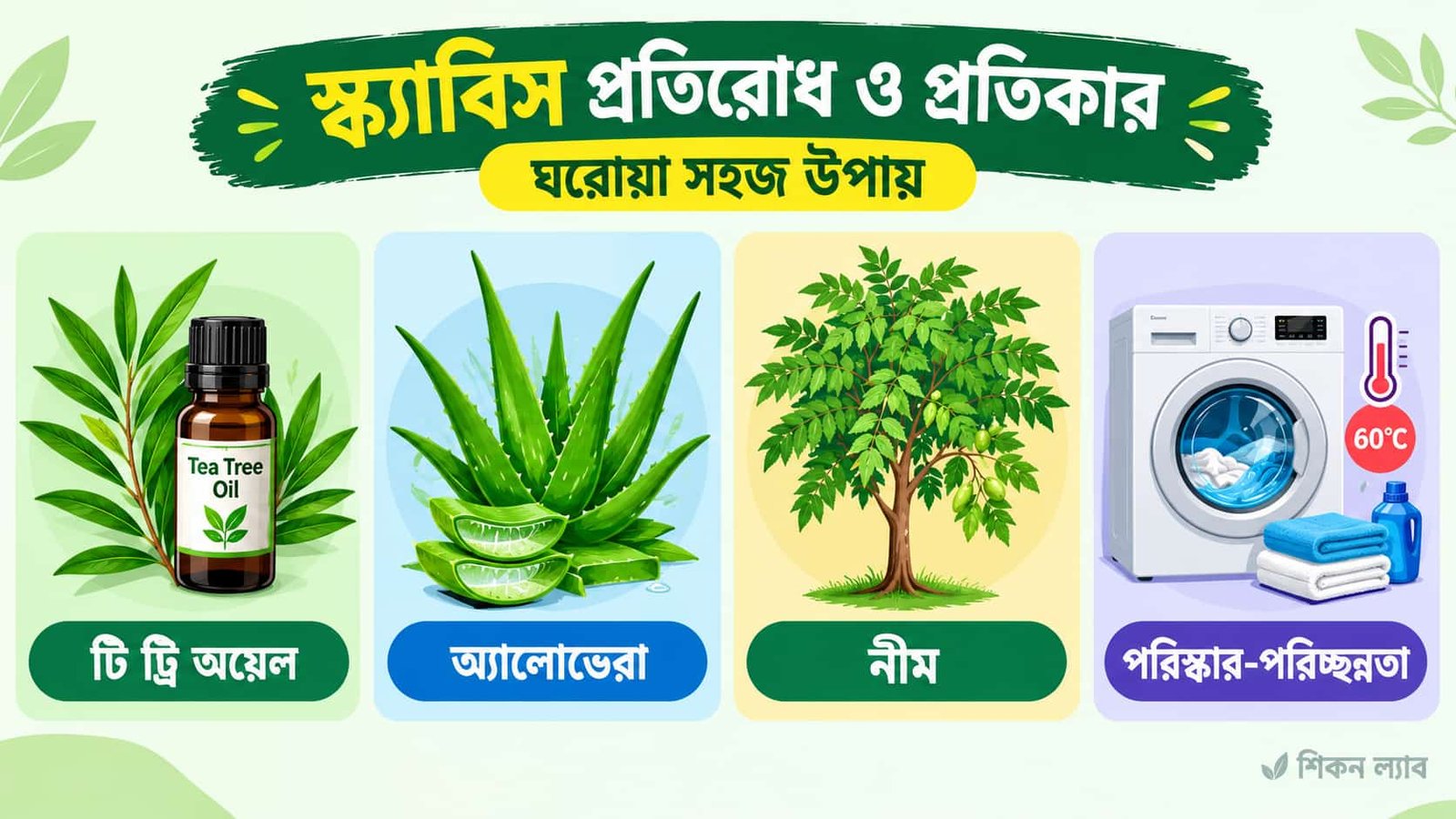 স্ক্যাবিস প্রতিকার নিয়ে ইन्फোগ্রাফিক: টি ট্রি অয়েলের ছবি, অ্যালোভেরার পাতা, নিমের গাছ ও ওয়াশিং মেশিনসহ বিভিন্ন টোটকার ছবি।