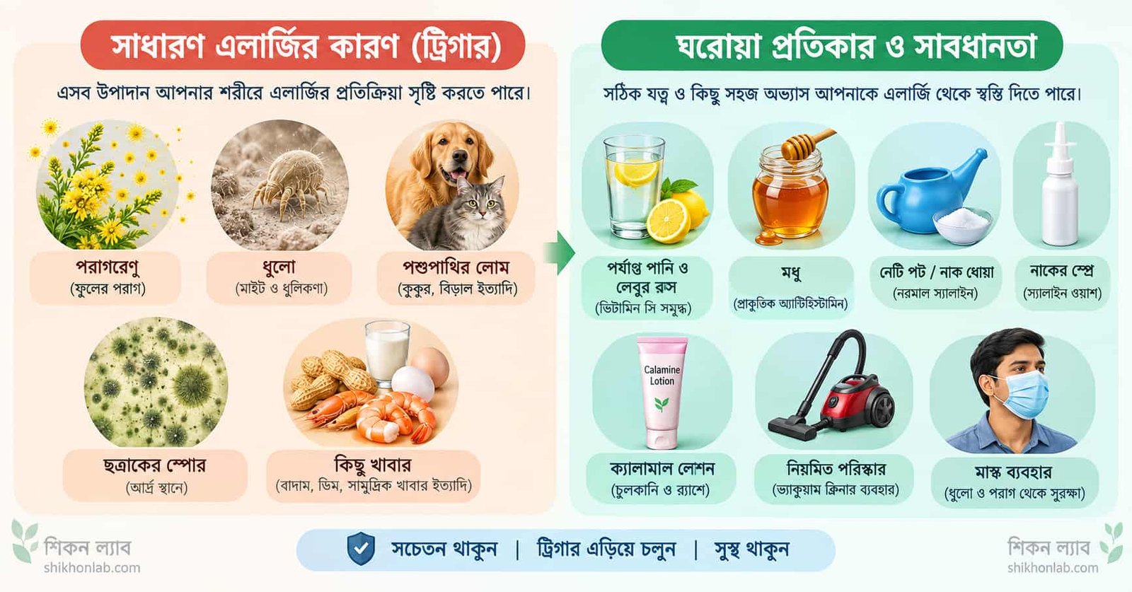 এলার্জি দূর করার উপায়